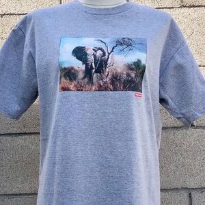 Supreme Vintage Medium SS11 “Safari” tee